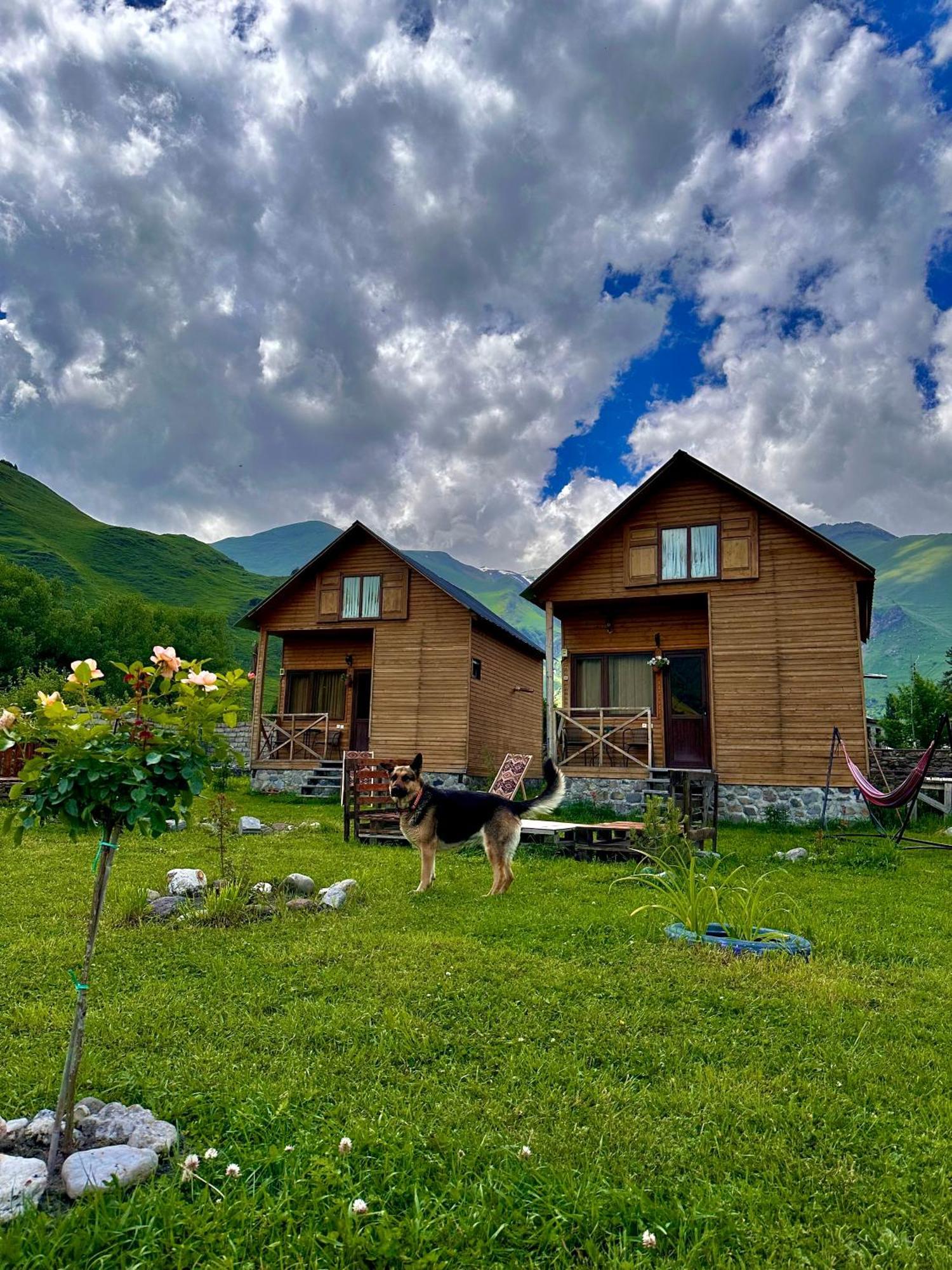 Villa Achkhoti Kazbegi Ngoại thất bức ảnh